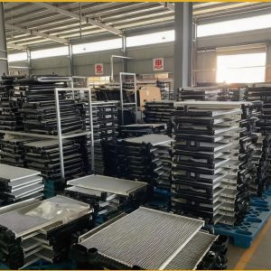 whatsapp image 2025 09 23 at 1.34.53 pm (1)